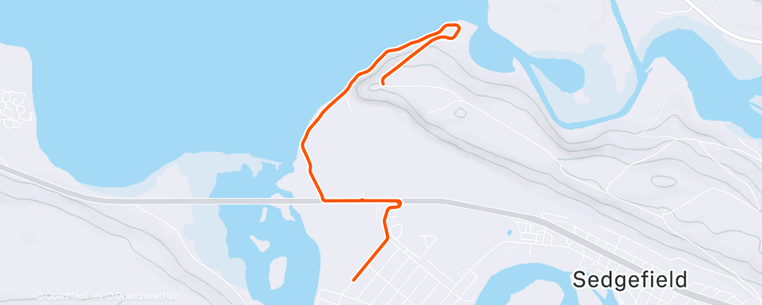 Карта физической активности (Morning Run)