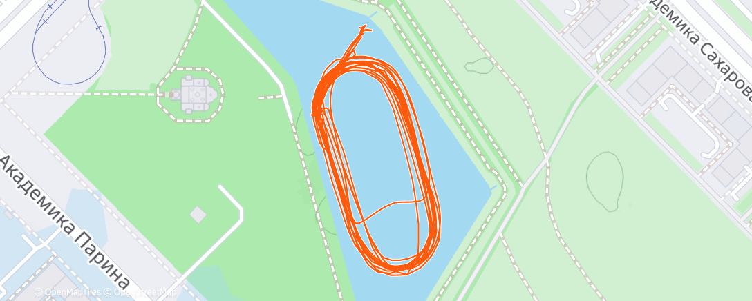 Карта физической активности (Катание на коньках (утро))