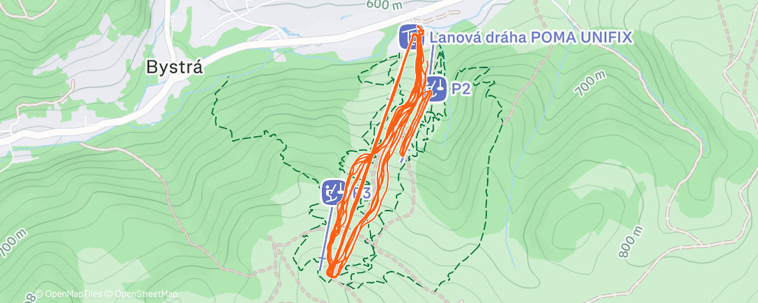 Карта физической активности (Morning Activity)