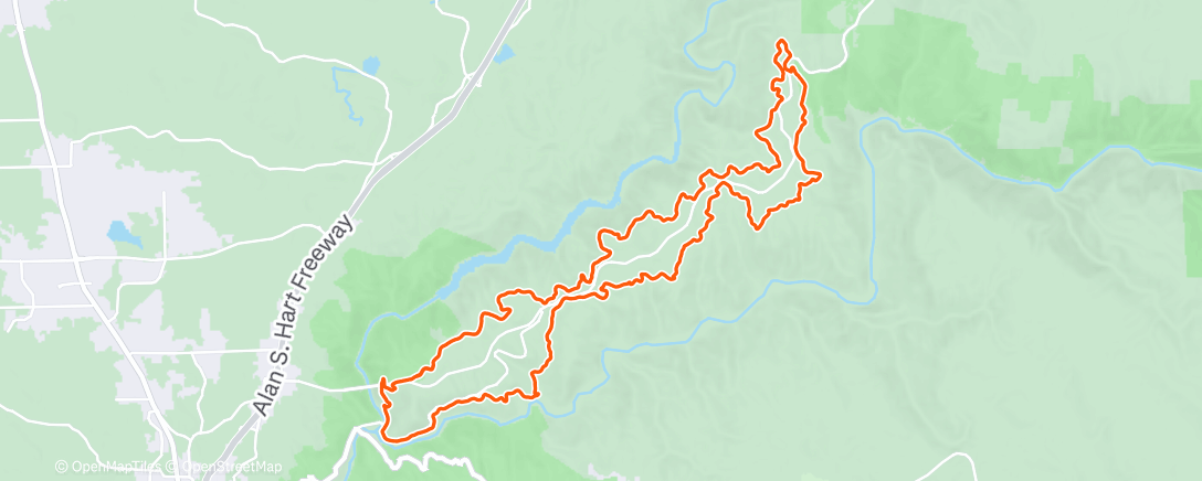 Карта физической активности (Morning Run)