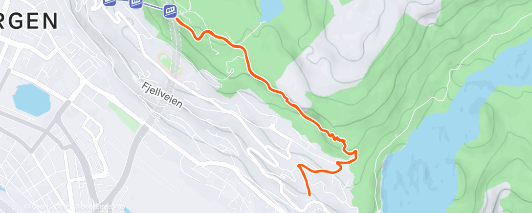 Карта физической активности (Morning Hike)