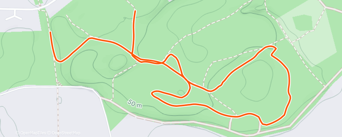 Карта физической активности (Afternoon Walk)