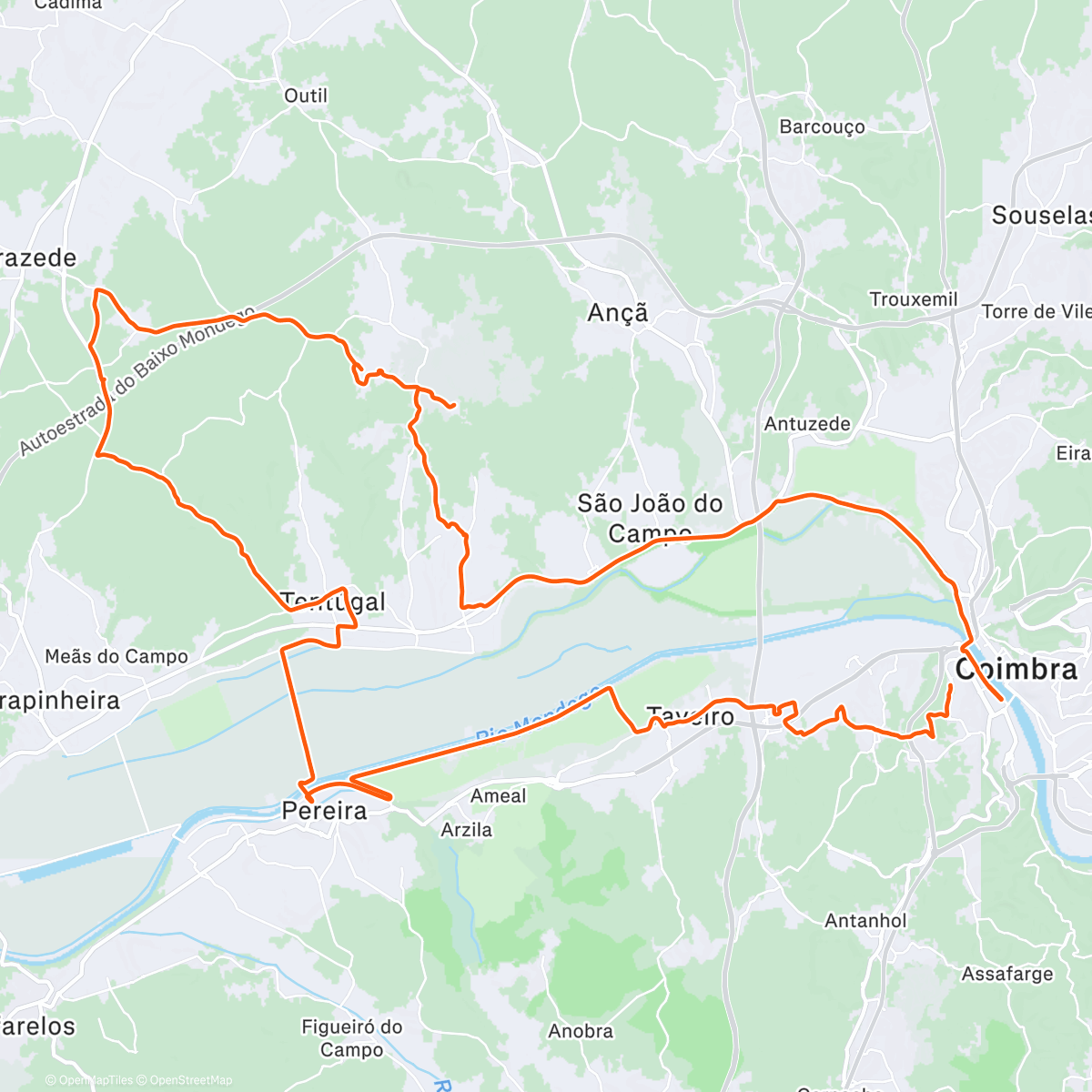 Карта физической активности (Elas foram aos saldos!)