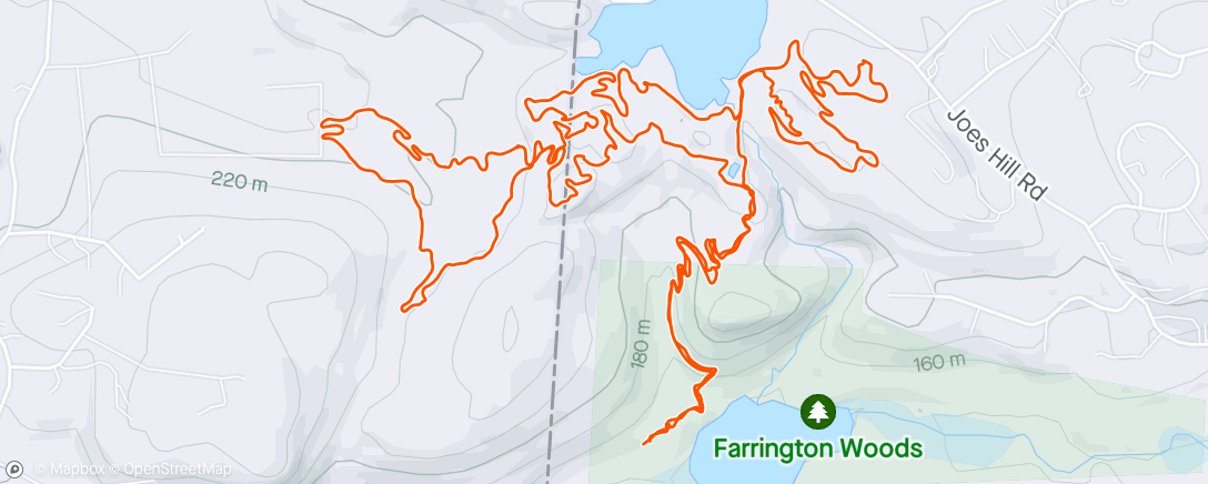 Map of the activity, Farrington Woods