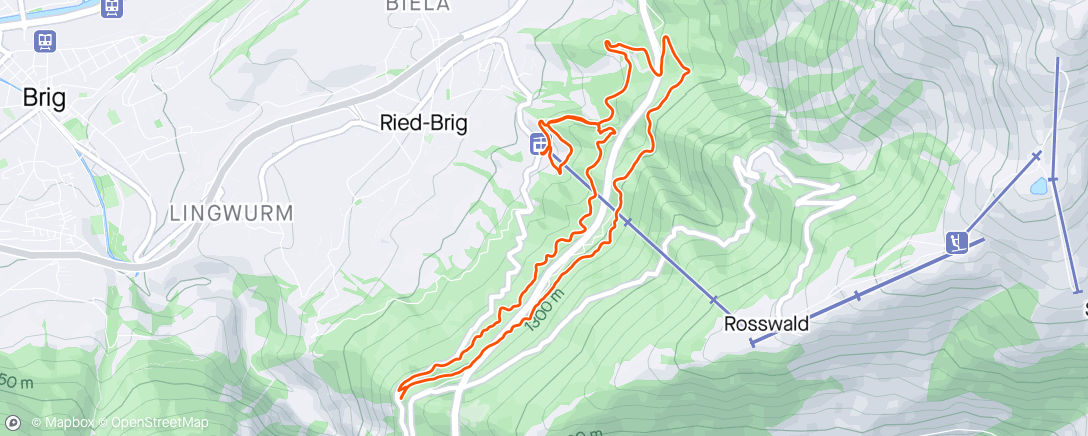 Map of the activity, Recoverytrail🥰