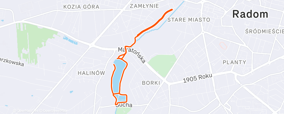 Map of the activity, Morning Walk