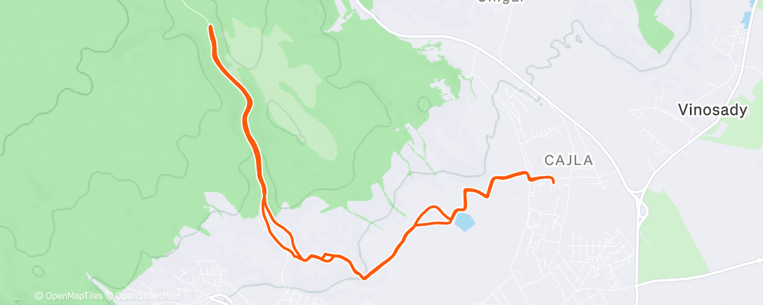 Map of the activity, Morning Run