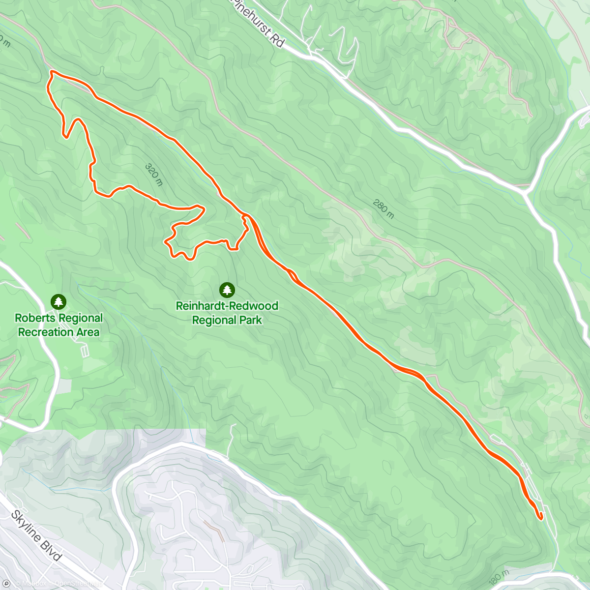 Map of the activity, Big trees loop