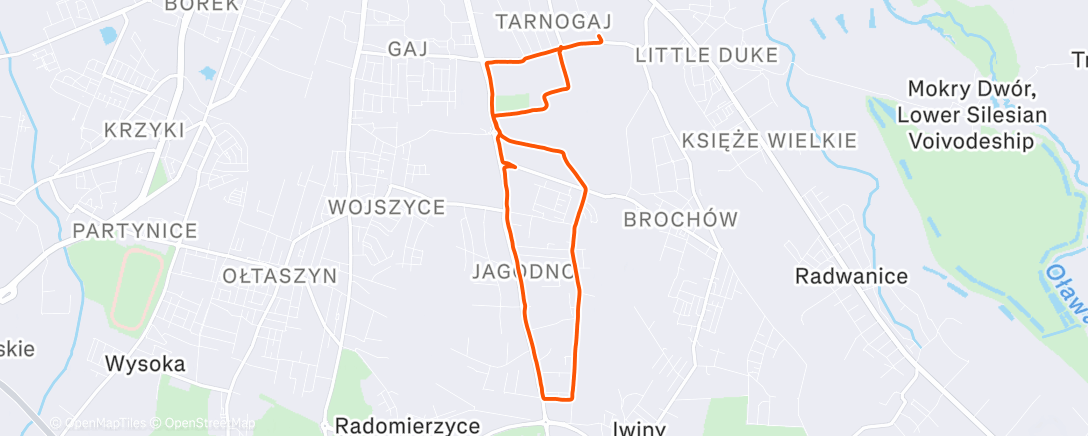 Map of the activity, Afternoon Run