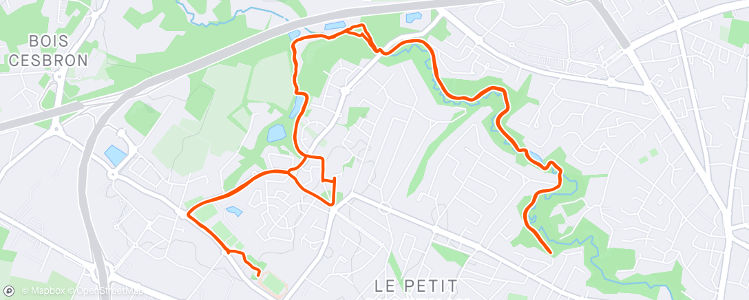 Map of the activity, ☁️ Afternoon Run