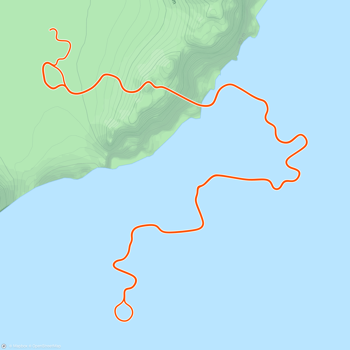 Map of the activity, Zwift - Zone 2 -  May