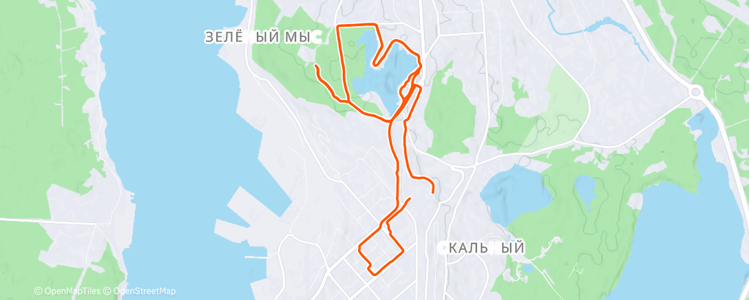 Карта физической активности (Дневной забег)