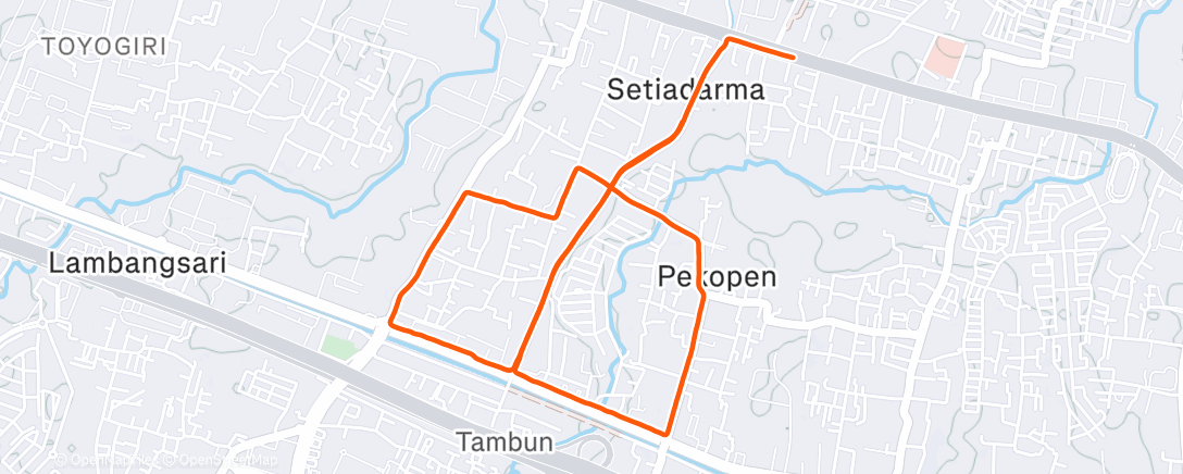 Карта физической активности (Morning Run)