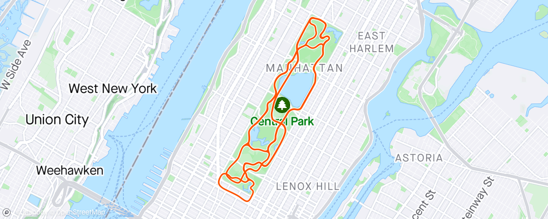 Map of the activity, group rde plus solo nyc zwift