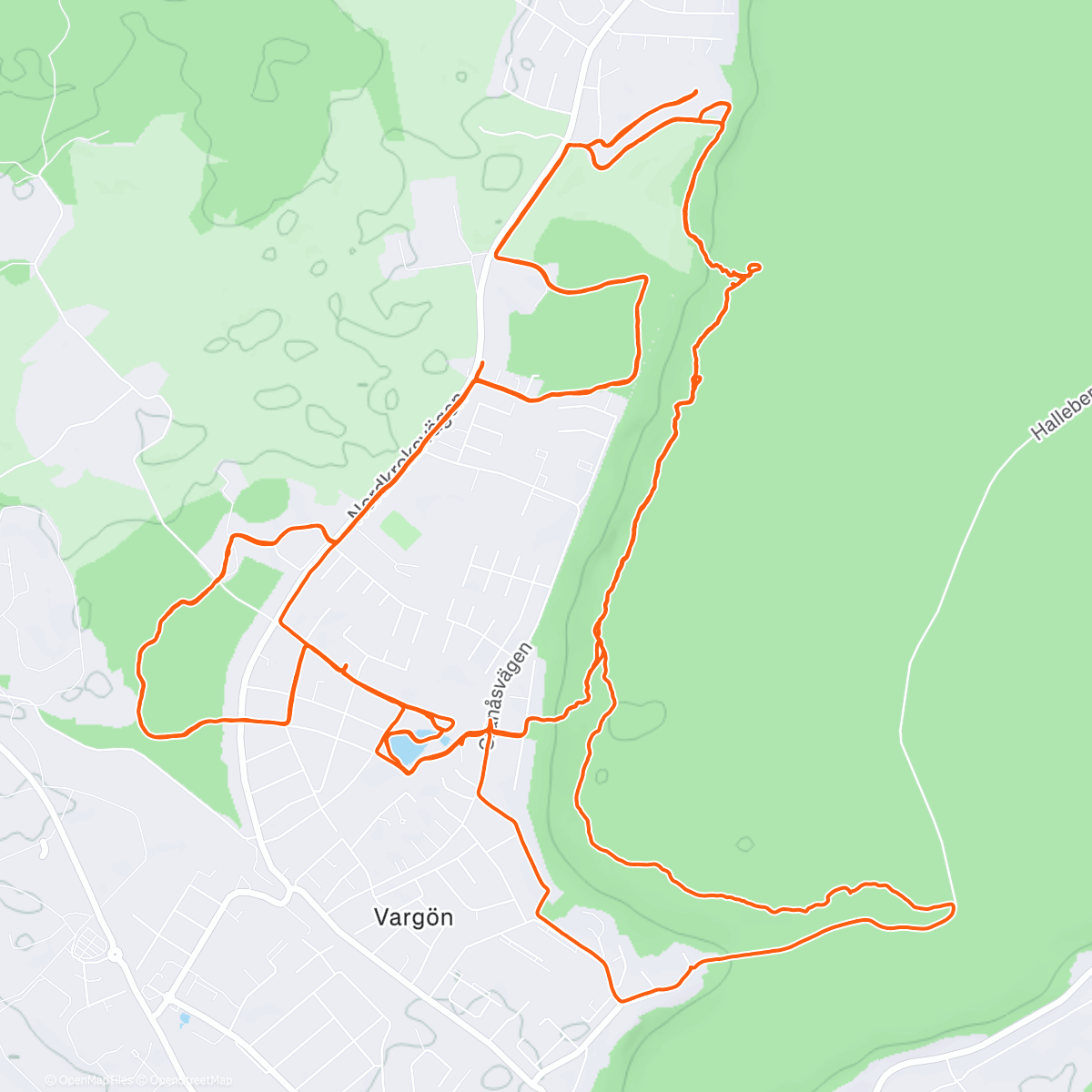 Карта физической активности (Vargöns Trailrun Endurance Race Värnesborg)