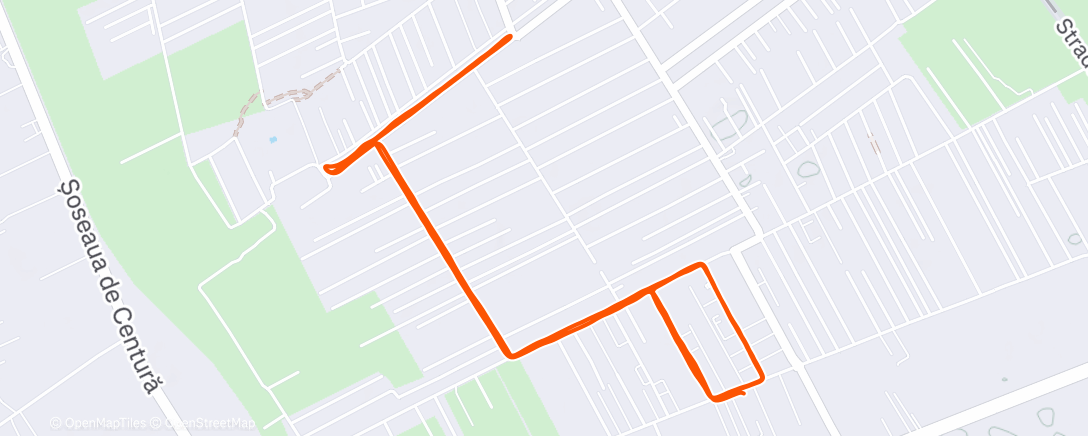 Карта физической активности (Morning Run)