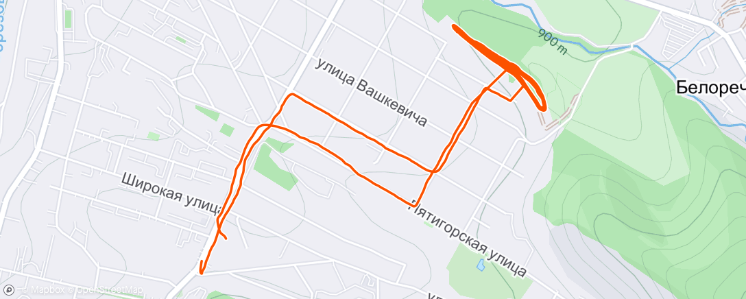 Map of the activity, Утренний забег