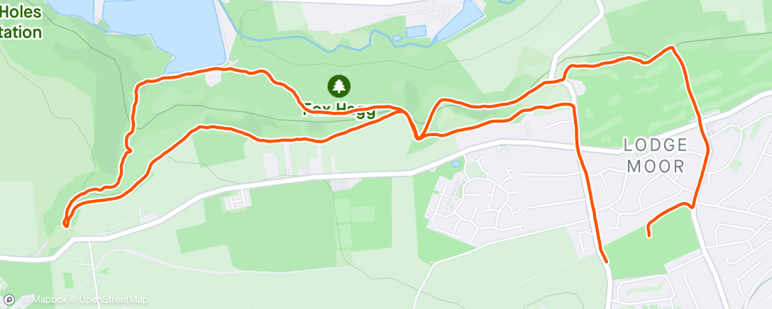 Map of the activity, Lunch Trail Run