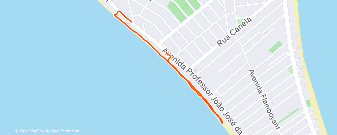 Карта физической активности (Morning Walk)