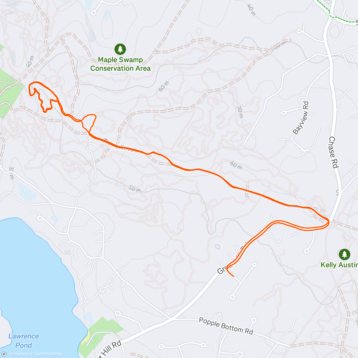 Map of the activity, V.I.L.F.