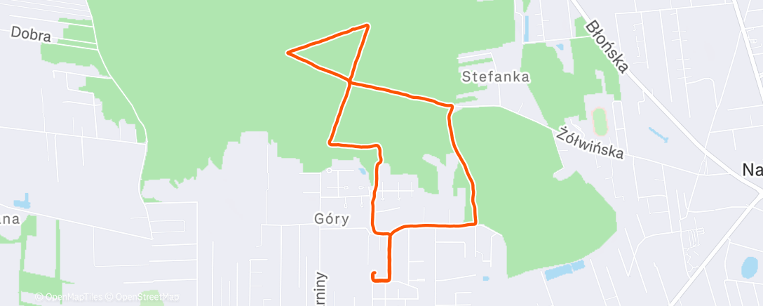 Карта физической активности (Morning Walk)