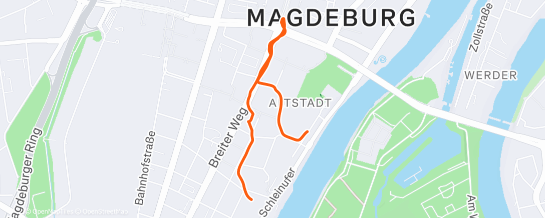 Карта физической активности (Evening Walk)