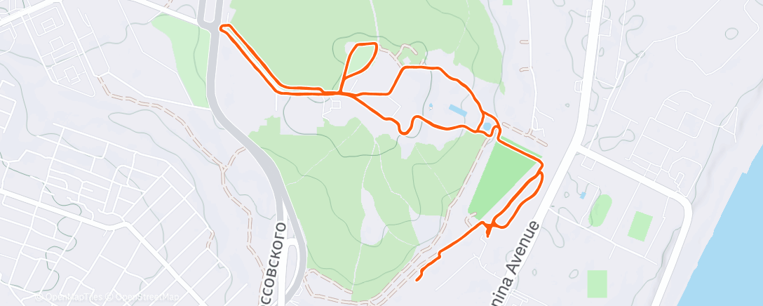 Карта физической активности (Afternoon Run)