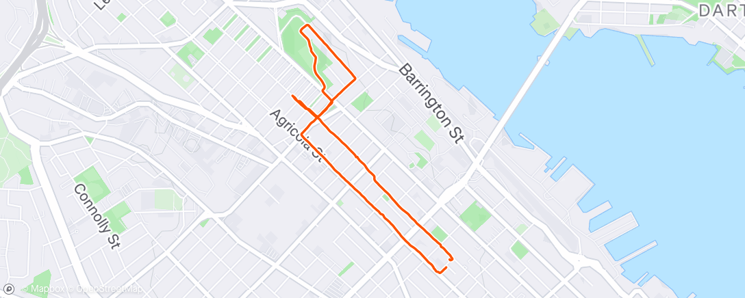 Map of the activity, 🐕