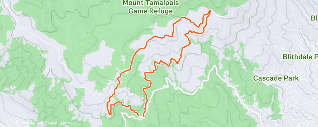 Map of the activity, Morning Run