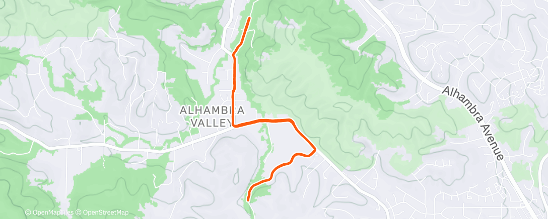 Карта физической активности (Afternoon Trail Run)