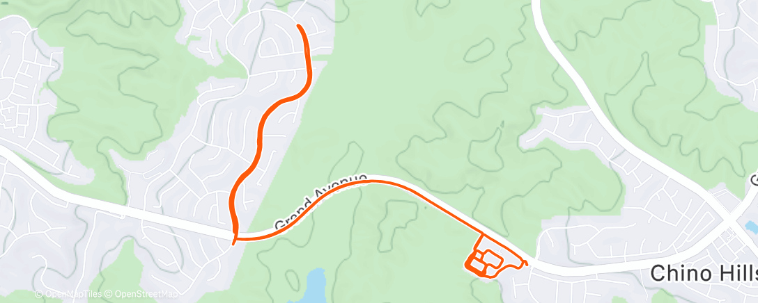 Карта физической активности (Morning Run)