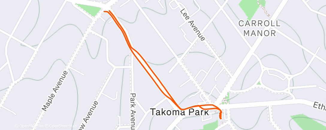 Map of the activity, Evening Walk