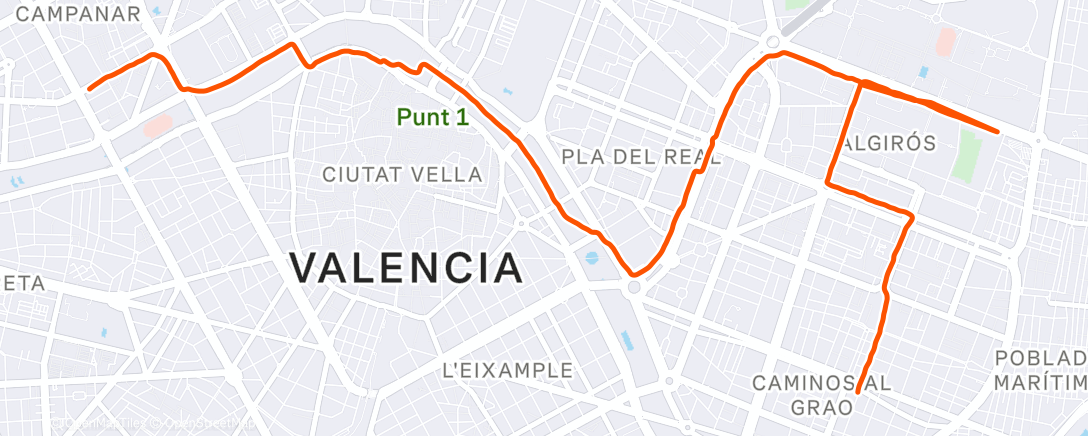 Map of the activity, Morning Run