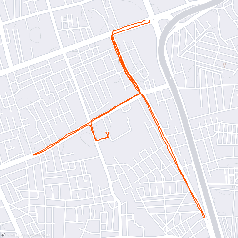 Map of the activity