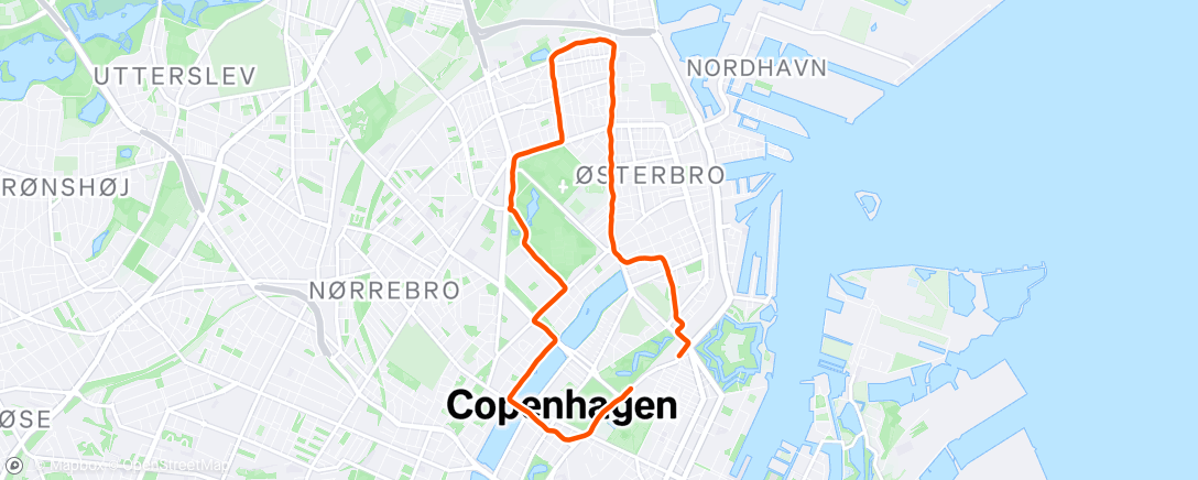 Map of the activity, Evening Run