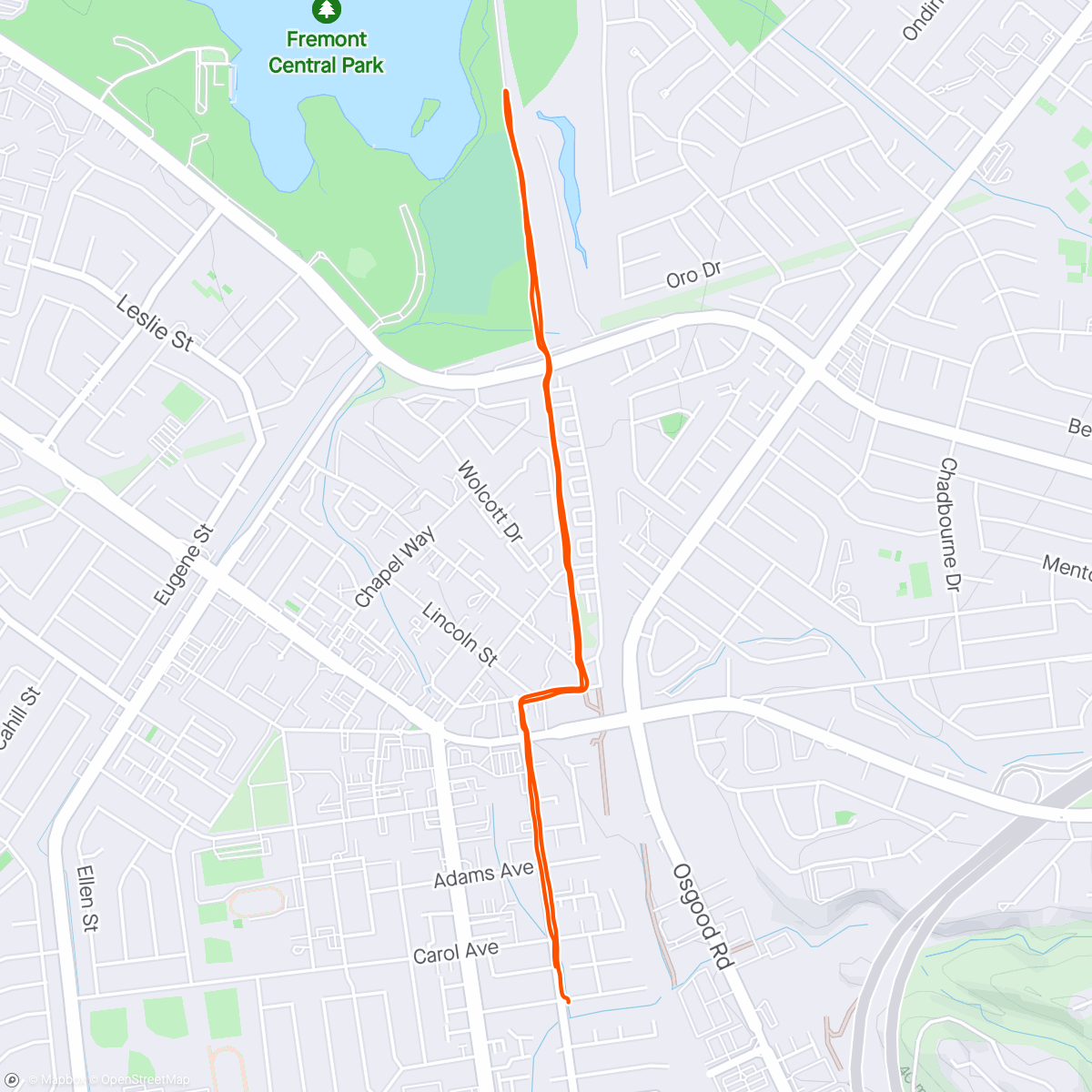 Map of the activity, Morning Run club