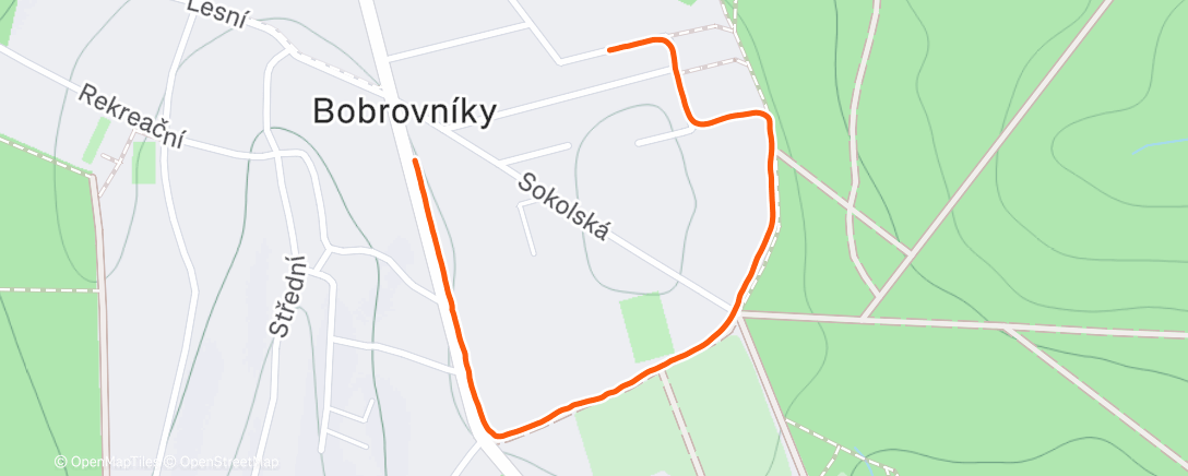 Карта физической активности (Procházka s Kessy)