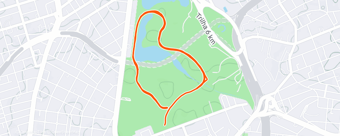 Карта физической активности (Morning Run)