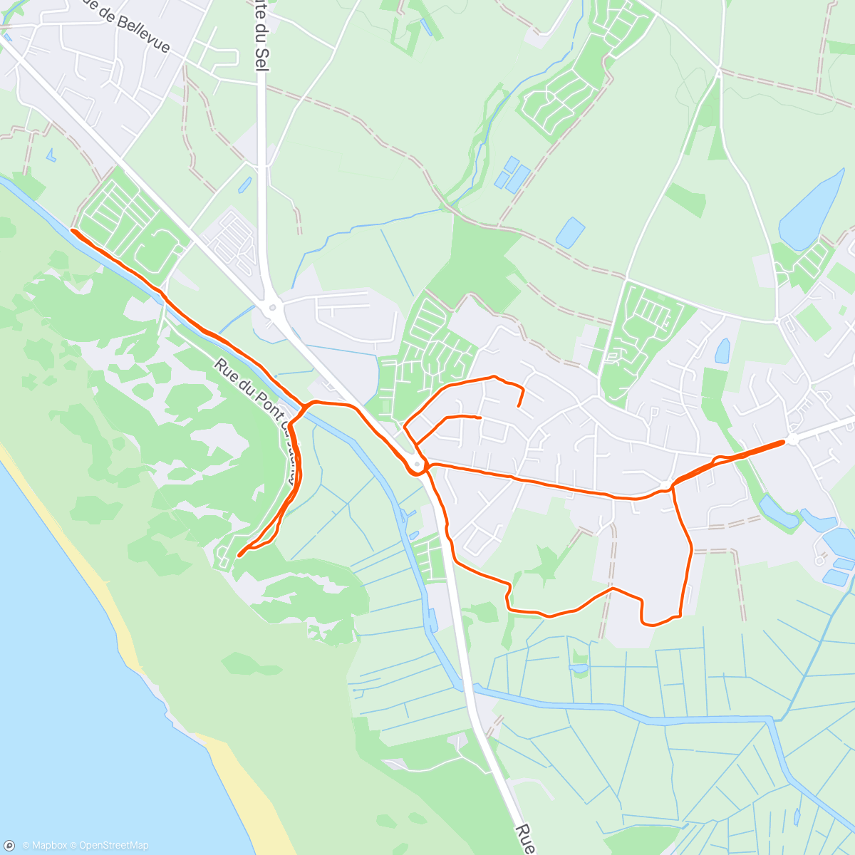 Map of the activity, Course à pied allure modérée 🌥️ 14°