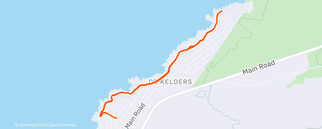 Карта физической активности (Morning Trail Run)