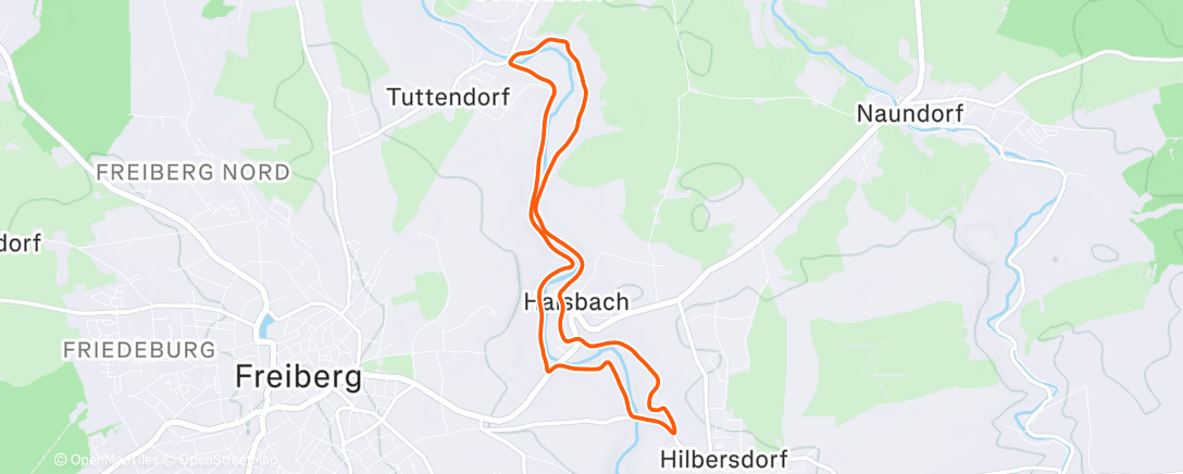 Mapa de la actividad (Lauf am Morgen)