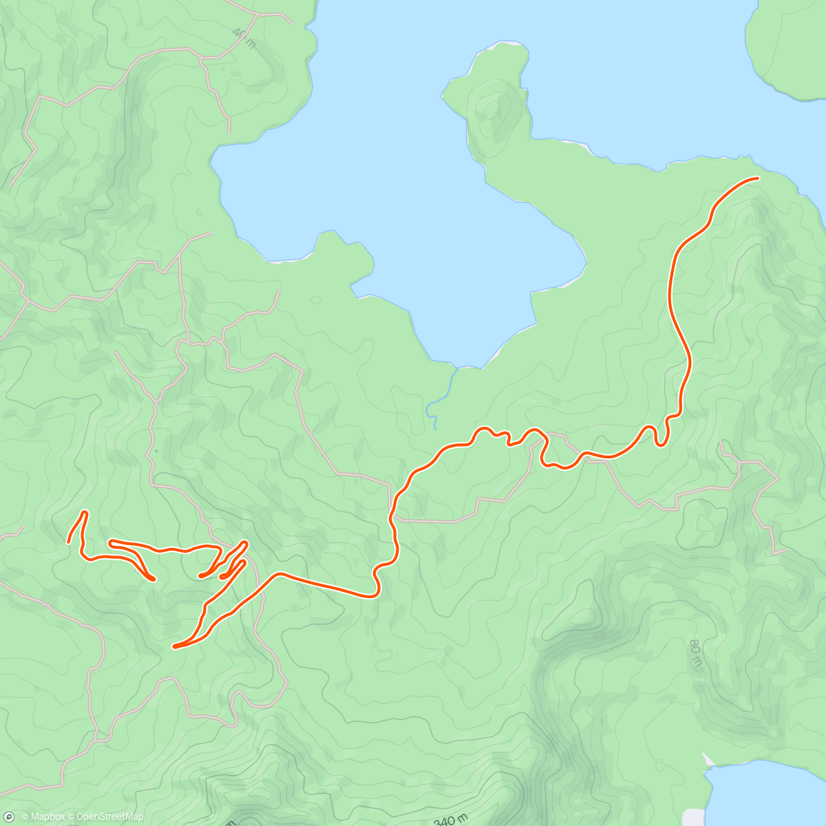 Map of the activity, Zwift - CCI15 (80/20 Cruise Intervals) in Watopia