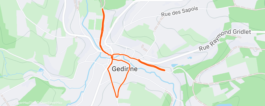 Map of the activity, Morning Run