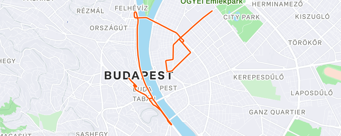 Карта физической активности (ROUVY - Budapeszt)