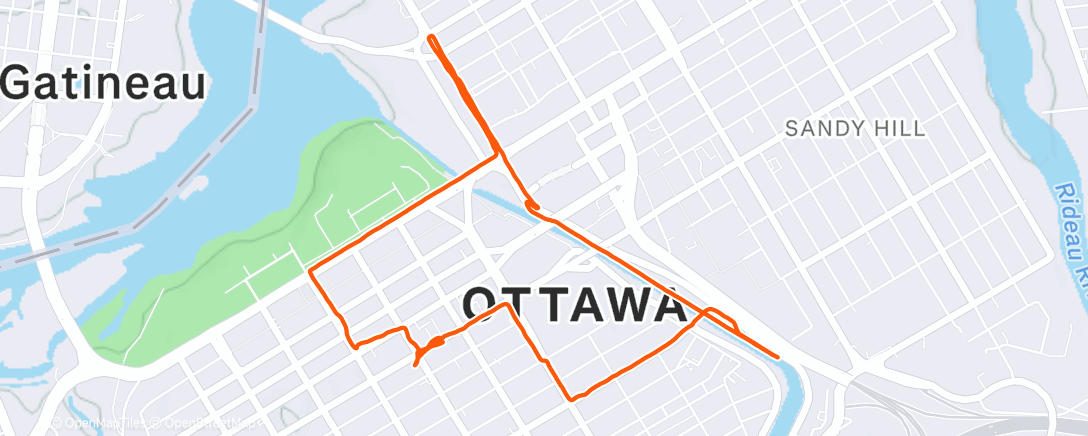 Map of the activity, Morning Run