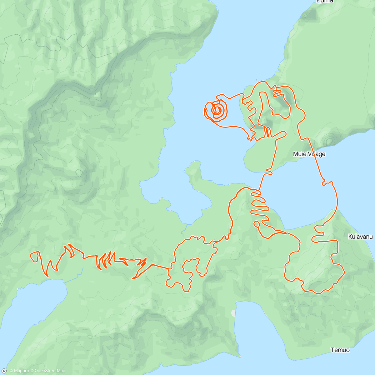 Map of the activity, Zwift - Four Horsemen in Watopia