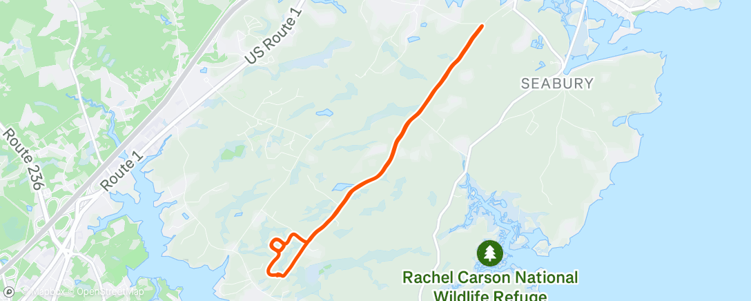 Map of the activity, Carrera nocturna