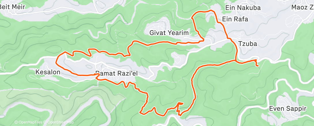 Map of the activity, Morning Trail Run