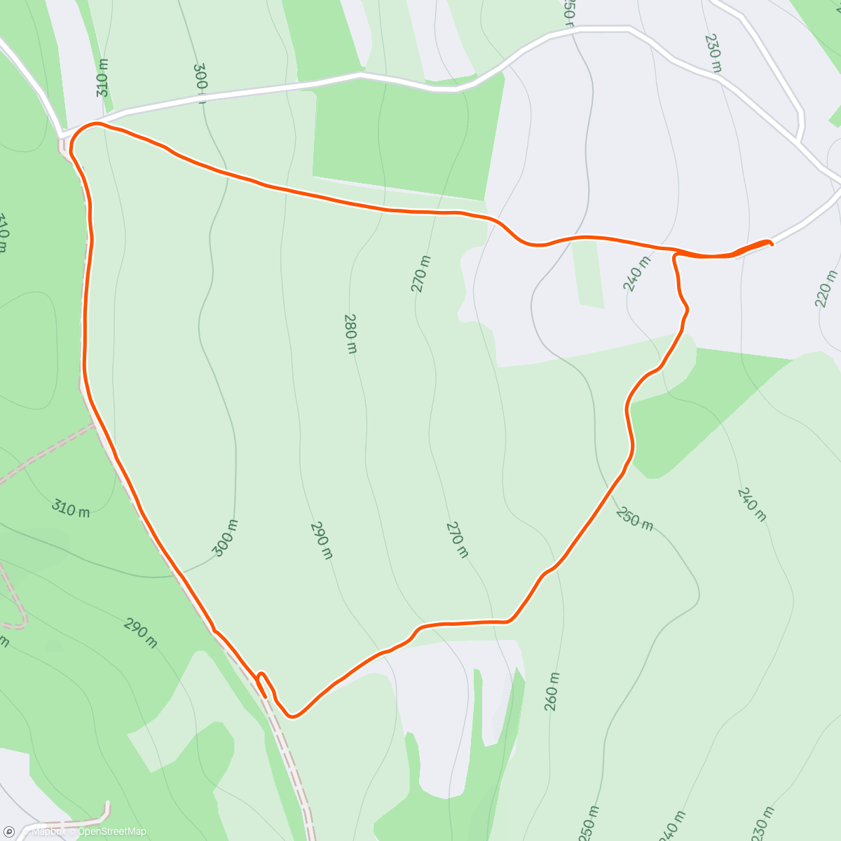 Карта физической активности (Afternoon Walk)