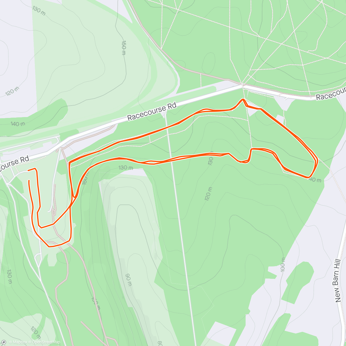 Mapa da atividade, WSFRL The Trundle View Run in Goodwood Country Park.